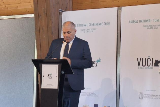 Emergency Veterinary Service to Connect Malta and Gozo