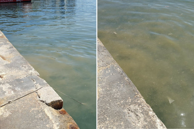 Persistent Foul Odours Near Sliema Ferries Raise Environmental Concerns